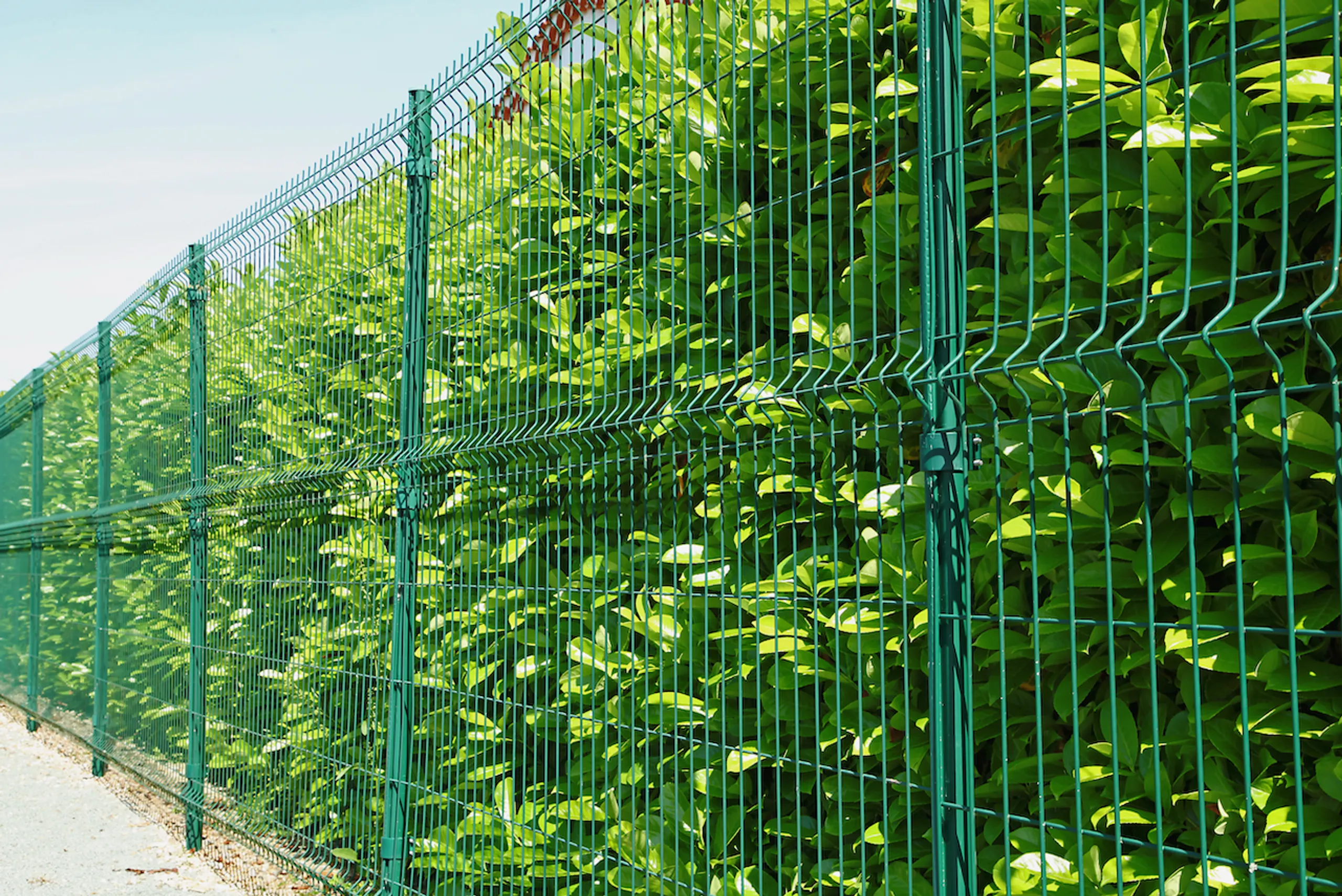 Clôtures de jardin dans les Alpes-Maritimes